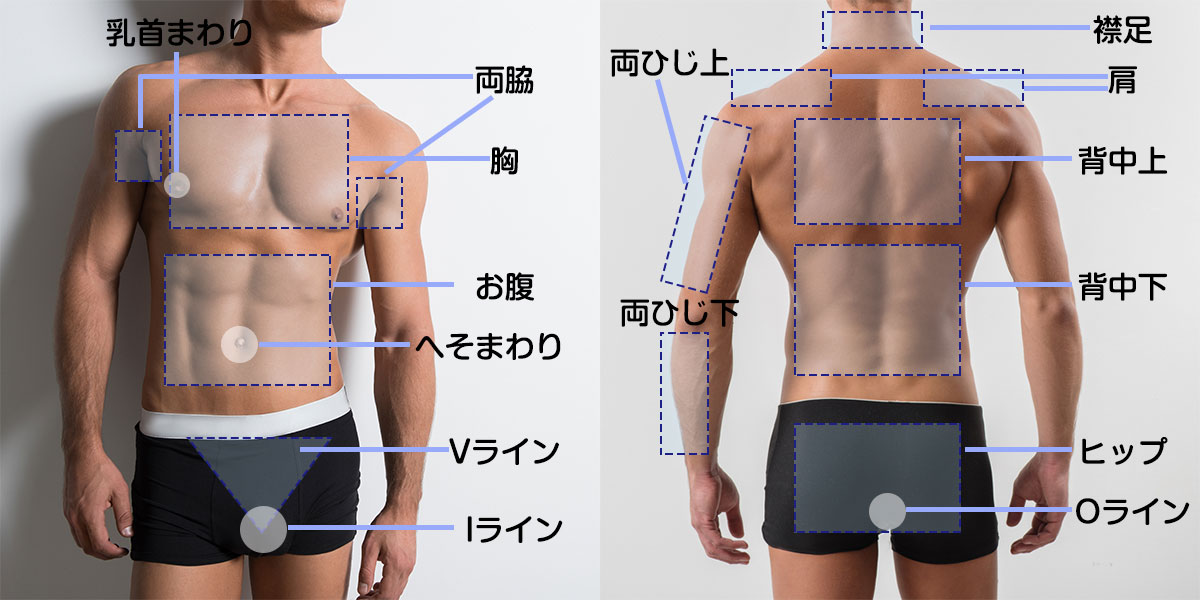身体の図