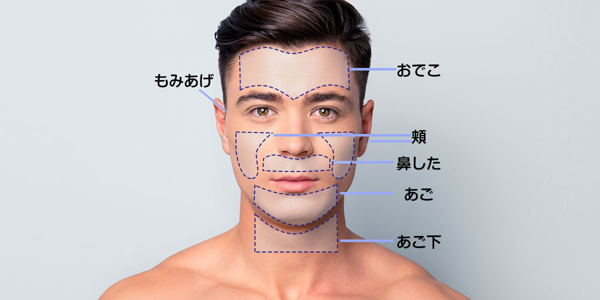 顔の図