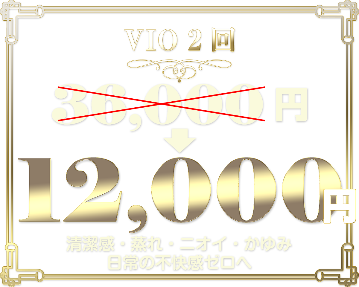VIOプラス前進脱毛10,000円